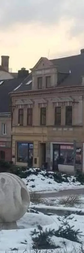 Apartmány Litvínov centrum，位于利特威诺夫的酒店
