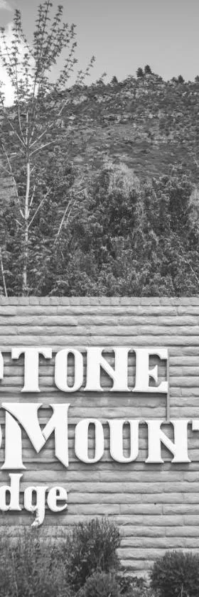Stone Mountain Lodge，位于里昂的酒店
