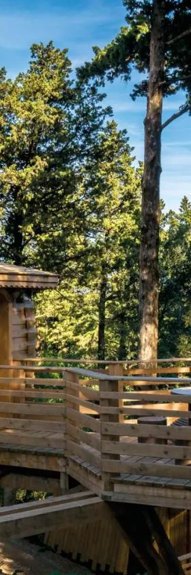 Les Cabanes Dans Les Bois Logis Hôtel，位于Villedubert的酒店