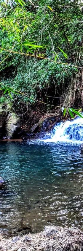 Hamakua Guesthouse，位于Pepeekeo的酒店