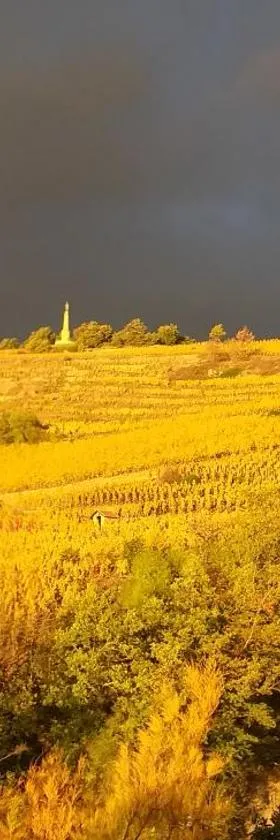 Wine Passion Panoramic，位于Chavanay的酒店