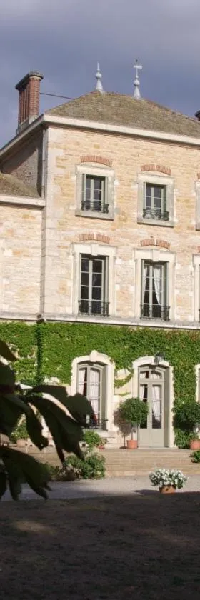 Château des Charmes，位于Guéreins的酒店