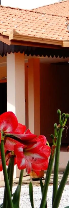 Hotel Fazenda Itáytyba，位于蒂巴吉的酒店