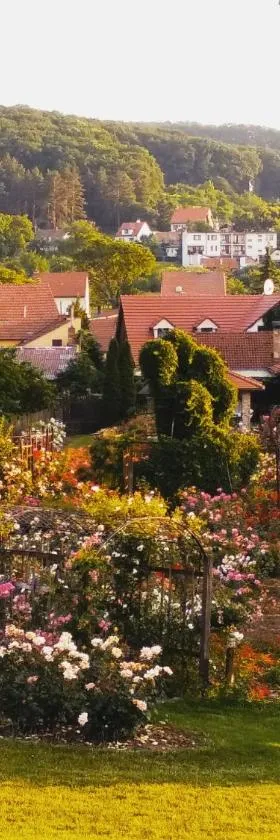penzion ROSETA，位于Radějov的酒店