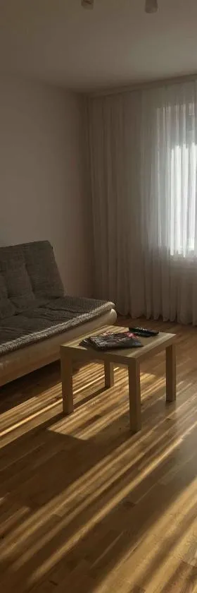 Welcoming apartment，位于阿尼克什奇艾的酒店