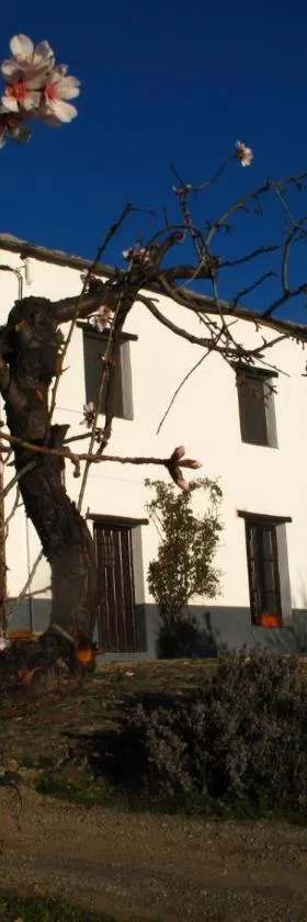 Casa Rural El Paraje de Berchules，位于贝尔楚勒斯的酒店