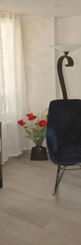 Gîte, location meublé de tourisme 3 étoiles，位于Châtillon-Coligny的酒店