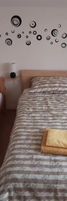 Apartman Stars，位于斯拉沃尼亚布罗德的酒店