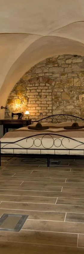 Apartmán U Gotického dvojčete，位于利托梅日采的酒店