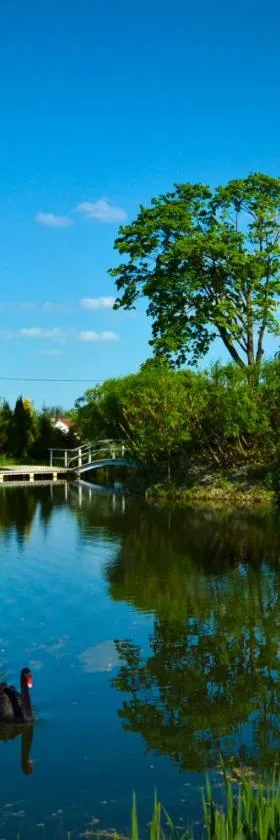 Dom na wodzie Mazury，位于Dźwierzuty的酒店