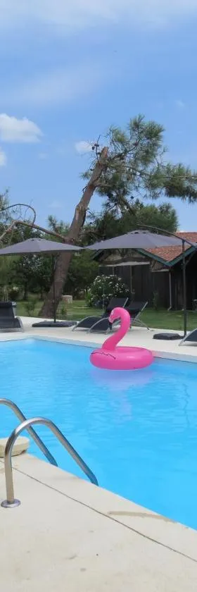 Les Terrasses des Mimosas，位于Caumont-sur-Garonne的酒店