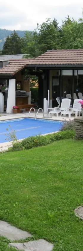 Le Logis du Chalet Perce-Neige，位于沙泰勒圣但尼的酒店