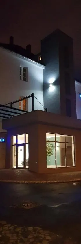 Hotel Azyl，位于乔左维尔考普尔斯基的酒店