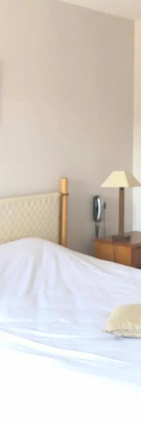 Logis Hôtel & Restaurant Linça，位于Linxe的酒店
