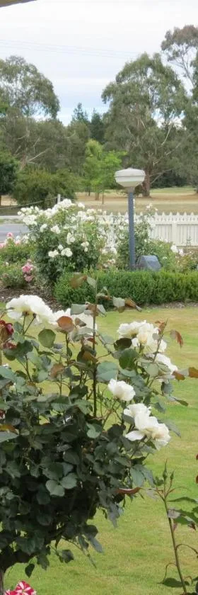 Culverden Court Motel，位于Culverden的酒店