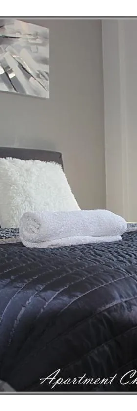 Apartment Cherry Lux，位于兹雷尼亚宁的酒店