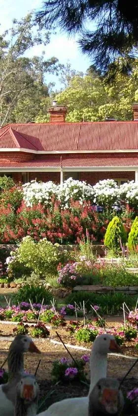 Ford House Bed & Breakfast，位于布里奇顿的酒店