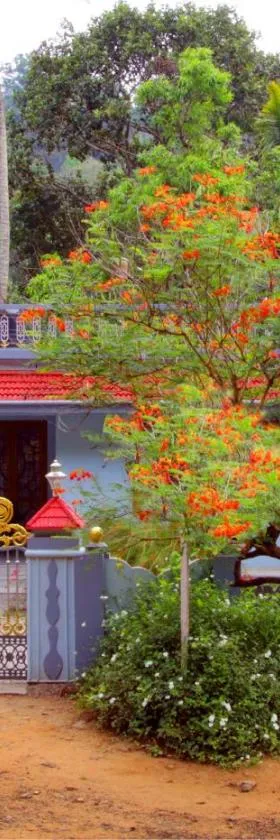 Darpana Homestay，位于蓬穆迪的酒店