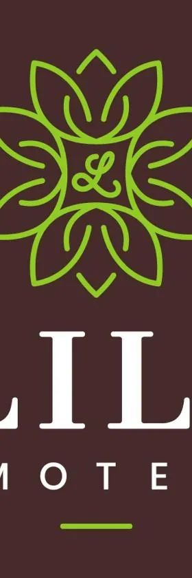 Lili Motel，位于Sajószentpéter的酒店