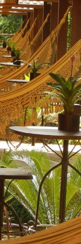 Aldeia do Bambu Camping e Chalés，位于Quartéis的酒店
