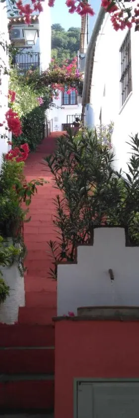 CASA EL CALLEJON DE BENAMAHOMA，位于贝纳马奥马的酒店