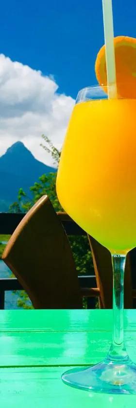 Butterfly Mountain Lake Side，位于Maskeliya的酒店