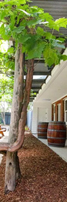 阿贝尔曼酒店，位于Abermain的酒店