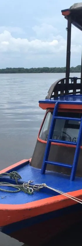 Orangutan Houseboat Park Tanjung Puting，位于庞卡兰布翁的酒店