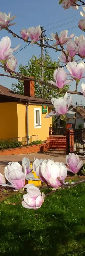 Agroturystyka Przy Świerku，位于亨齐内的酒店