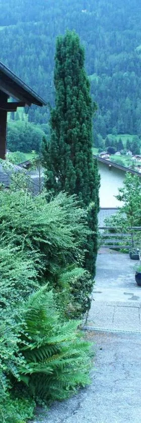 克劳迪伊丽莎白米谢尔罗德度特尔住宿加早餐旅馆，位于勒沙布勒的酒店