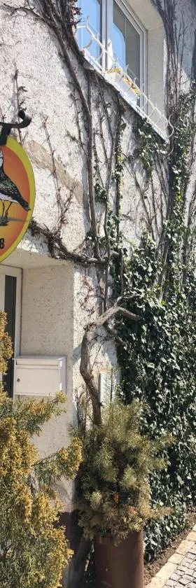 田凫私人公寓，位于泰尔奇的酒店