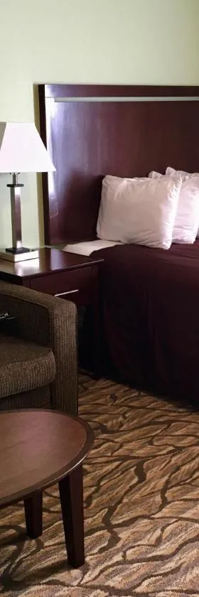 Aspen Suites Hotel Homer，位于荷马的酒店