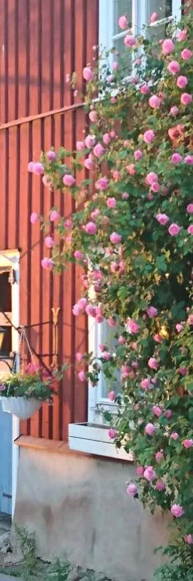 Garvaregården Hotel , B&B och Café，位于阿斯克松德的酒店
