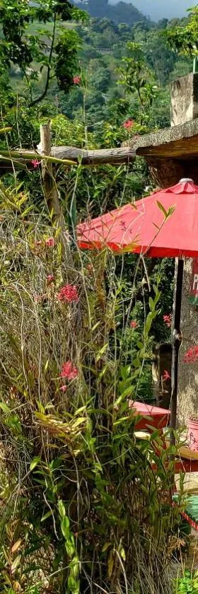 Prince Valley Guesthouse，位于Irish Town的酒店