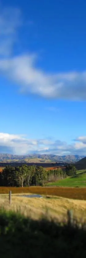 Hill Top Retreat，位于Lower Dashwood的酒店