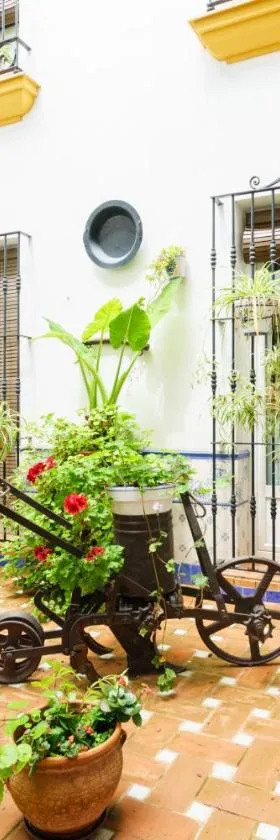 Hostal Ciudad Trigueros，位于Trigueros的酒店