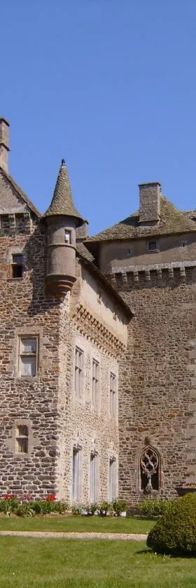 Château de La Vigne，位于Ally的酒店