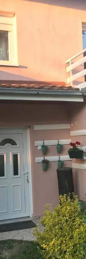 Apartmani Stojanovic，位于Sremska Kamenica的酒店