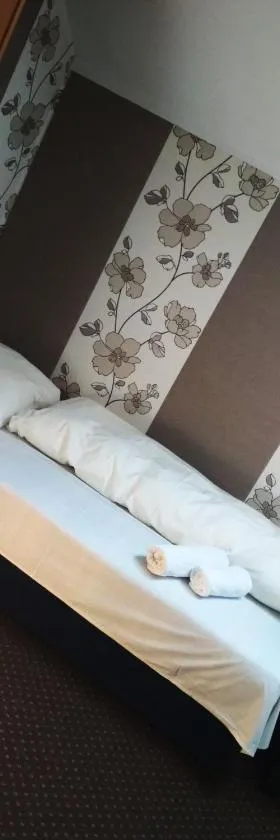 Noclegi Przy Trasie Dziekanowice，位于Lednogóra的酒店