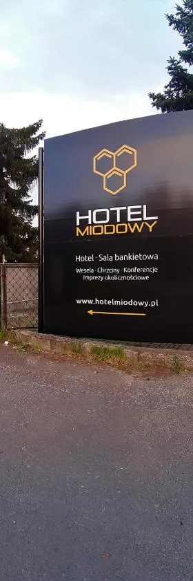 Hotel Miodowy，位于杰尔若纽夫的酒店