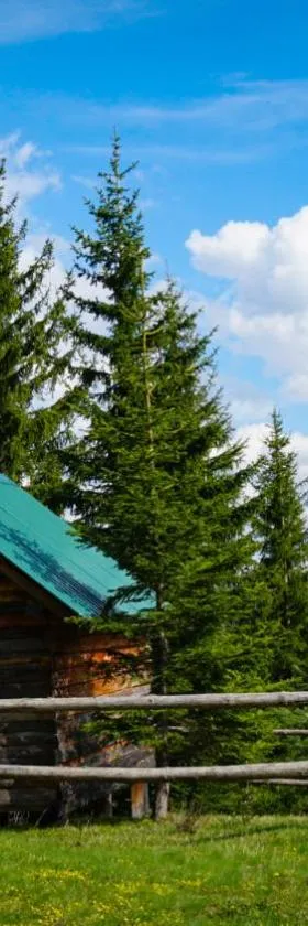Eco Camp Drno Brdo，位于Kosanica的酒店