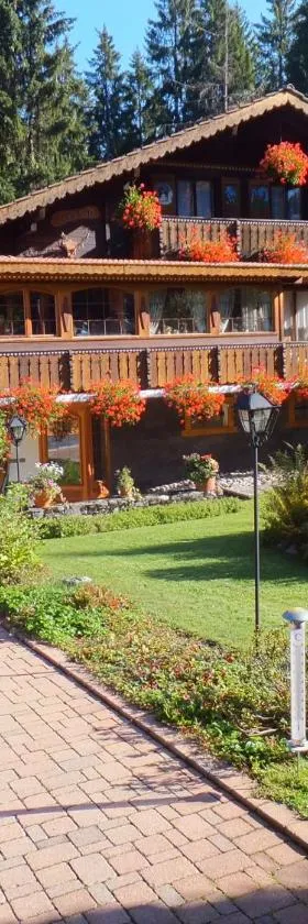 Au Petit Gîte Les Paccots，位于沙泰勒圣但尼的酒店
