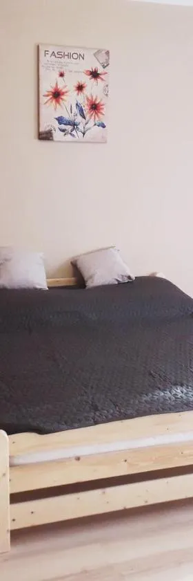 Centrum apartman，位于索尔诺克的酒店