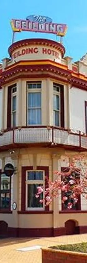 Feilding Hotel，位于菲尔丁的酒店