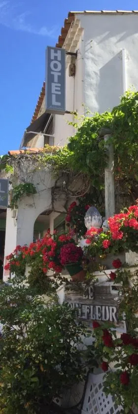 Hotel Le Méditérranée，位于圣马迪拉莫的酒店