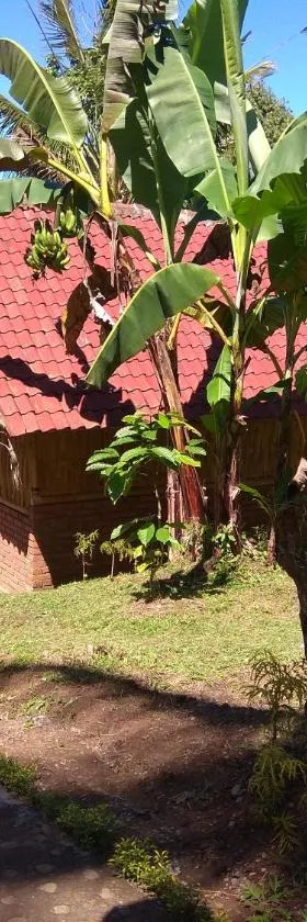 Bali mountain forest cabin，位于Penebel的酒店