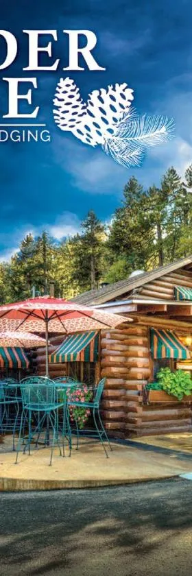 Powder House Lodge，位于奇斯顿的酒店