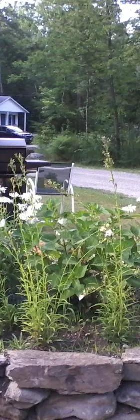 Maine Idyll Motor Court，位于弗里波特的酒店