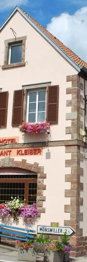 Logis Hôtel Restaurant Kleiber，位于圣让萨韦讷的酒店