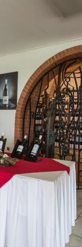 Penzion Patria Kobyli，位于Kobylí的酒店